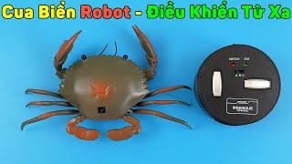 Mở Hộp Cua Biển Robot Điều Khiển Từ Xa, Mua Online Trên Shopee