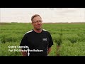 Spg taking an investor mindset  the future of pulse breeding in saskatchewan