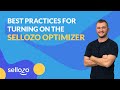 Best practices for turning on the sellozo optimizer