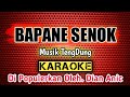 BAPANE SENOK _ KARAOKE _Musik TengDung _ Di Populerkan Oleh. Dian Anic