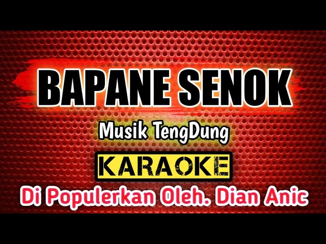 BAPANE SENOK _ KARAOKE _Musik TengDung _ Di Populerkan Oleh. Dian Anic class=
