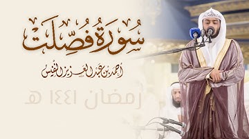 41 - سورة فصلت من محراب البيت [ وقالوا لجلودهم لم شهدتم علينا ]