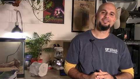 The Application of Computational Phylogenetics for Plant Conservation