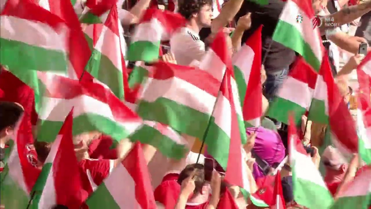Nélküled Stuttgart zászlóerdő- flag forrest hungarian fanatics in stuttgart
