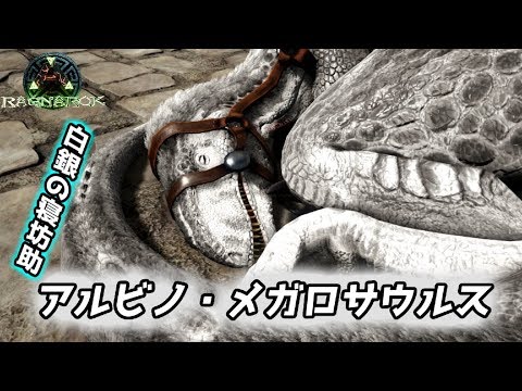 白銀の夜の女王 メガロサウルス をテイム Ark Survival Evolved Ragnarok Youtube