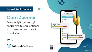 Vibrant's Corn Zoomer - Report Walkthrough