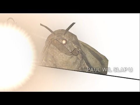 best-moth-memes-compilation(-i-love-lamp)