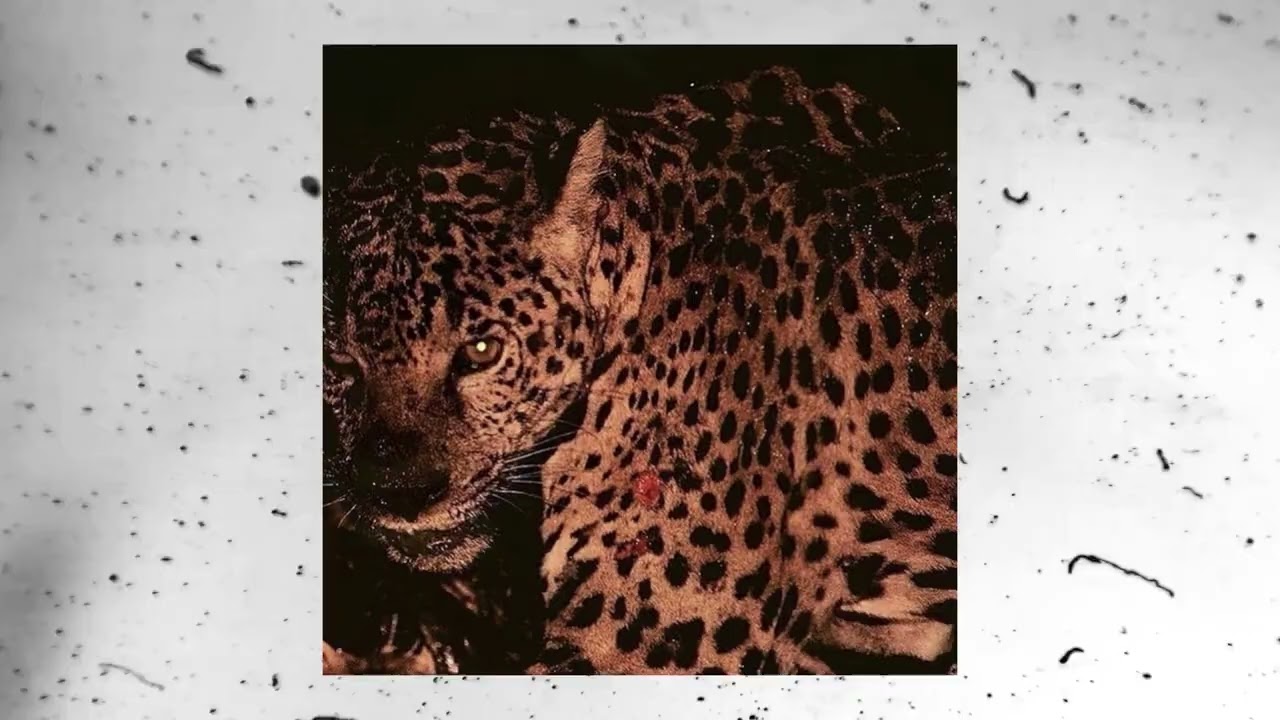 DARK BOOM BAP BEAT - "SIN MIEDO"