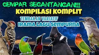 TEMBAKAN VARIATIF !! IRAMA LAGU SEMPURNA !! MASTERAN KOMPILASI KOMPLIT!!!