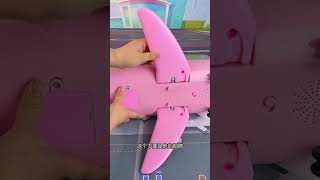 Information My Pet Hamster Has Its Own Private Jet! Can You Believe it Wants to Fly Too... Update