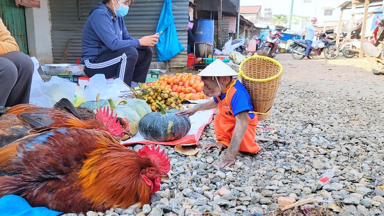 Обезьянка из SU в восторге от возможности купить на рынке самый свежий и вкусный корм для черепахи!
