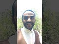 اللهجة الشرعبية