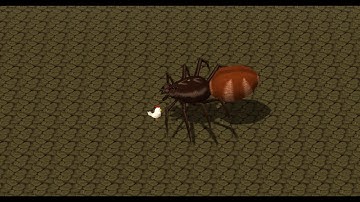 Spider Animation Test - Smile Game Builder