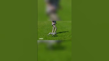 Robot Dog Learns to Follow Me! (AI Follow Mode Demo)