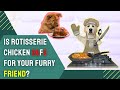 Is Rotisserie Chicken Safe for Dogs? Understanding the Risks and Benefits of Feeding Your Canine Companion