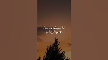 * سورة الجاثية* القارئ : سعد الغامدي * Surah Al-jathiya* Reader : saed alghamdi