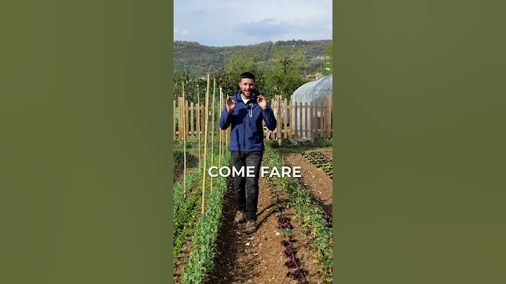 COME FARE L'ORTO PARTENDO DA ZERO