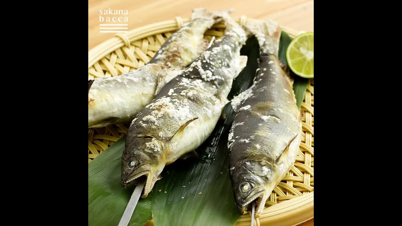 魚のきほん 鮎の串打ち のぼり串編 Youtube