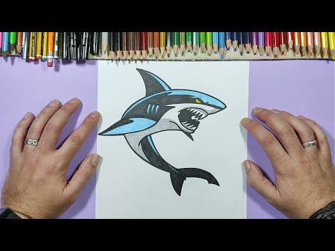 Como dibujar un tiburon 🦈 paso a paso 19 | How to draw a shark 🦈 19 -  thptnganamst.edu.vn