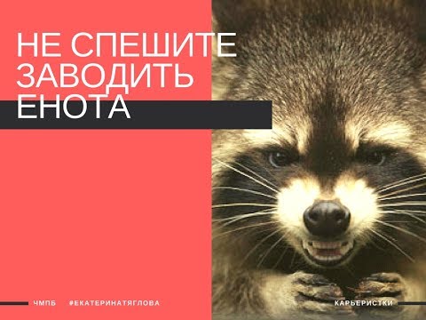 Не спешите заводить