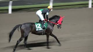 【YJS2025】トライアルラウンド川崎 第1戦を勝利したのはJRA所属の長浜鴻緒騎手‼  現地映像