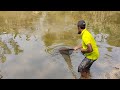 Net Fishing ll Big Fish Catching Using by Cast Net in The Village Pond
