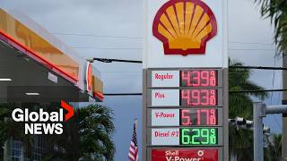 Full G7 to release 100 million barrels of oil reserves as diesel prices surge Guide
