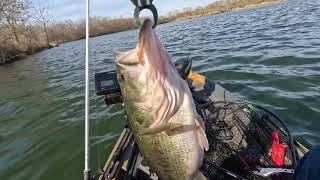 Bass Fishing: NEKO RIG catches GIANTS! [Pre-Spawn]