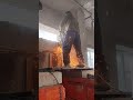 27 октября 2025 г.