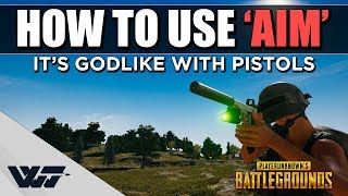 How to use AIM - It definitely serves a purpose - PUBG screenshot 2