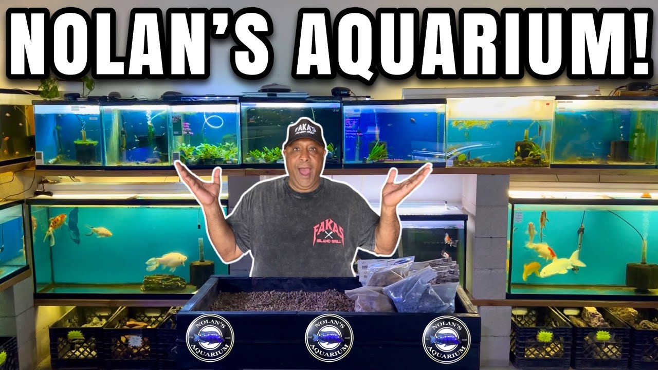 My Favorite Aquarium Store in Orange County! - YouTube