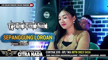 SEPANGGUNG LOROAN \\ COVER TARLING TENGDUNG CITRA NADA 2023 \\ AYU WD