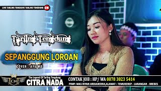 SEPANGGUNG LOROAN \\ COVER TARLING TENGDUNG CITRA NADA 2023 \\ AYU WD