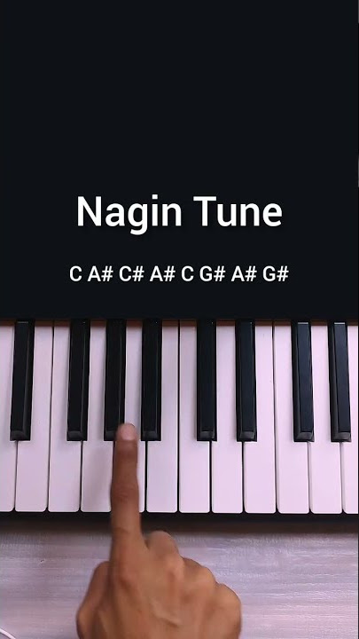 Nagin Tune | Slow & Easy