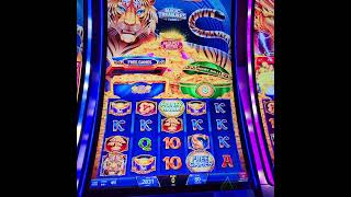 Magic Treasures Tiger at Downstream Casino and Resort at Quapaw OK (W. of Joplin Missouri)