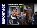 Hail mary un cheval taill pour le prix damrique legend race   reportage