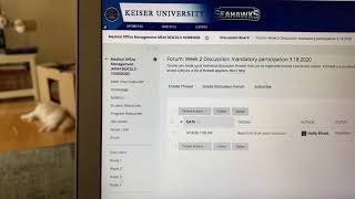 How to post on a Discussion board on Blackboard