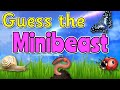 Mini Beast Quiz