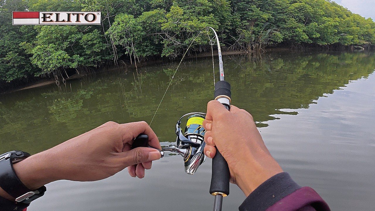 Pancing Baru Langsung dapat Black bass kalimantan