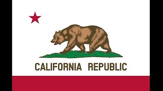 Learn about california's flag and those that came before it.