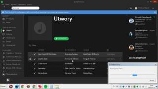 spotify-issues