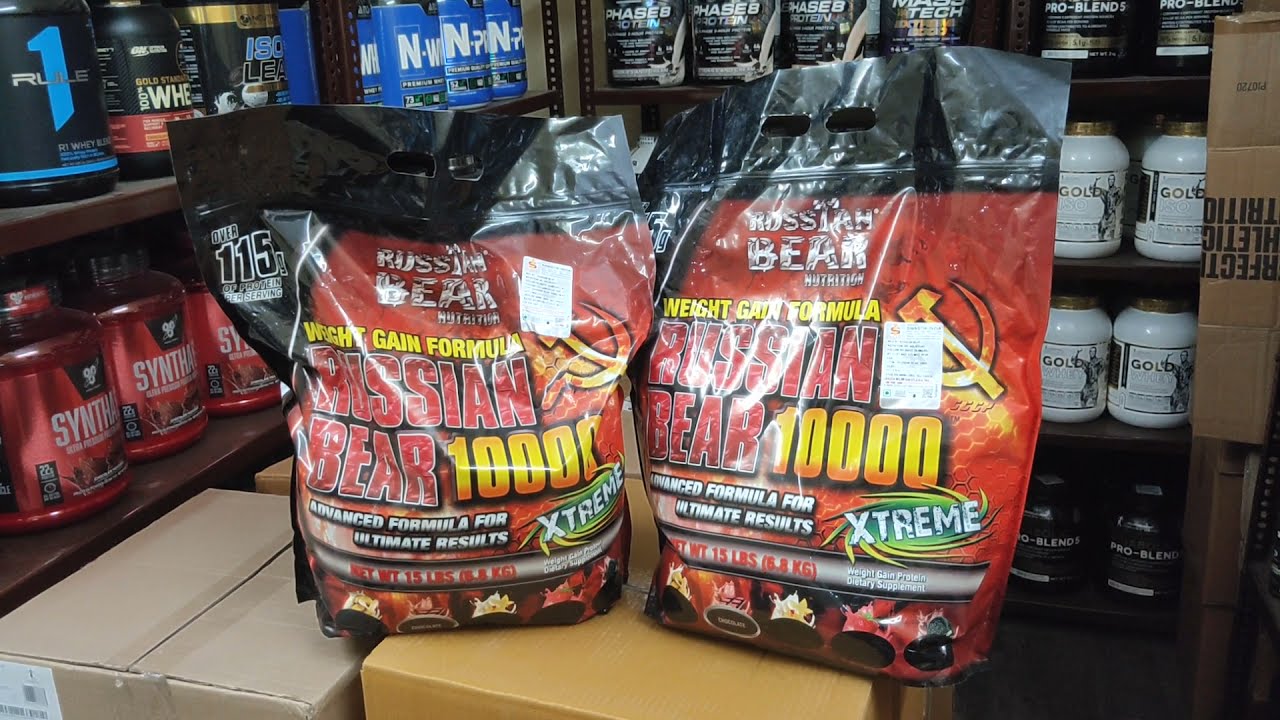 Russian Bear Nutrition Russian Bear 10000 Review | Weight plus Muscle Mass  Gainer