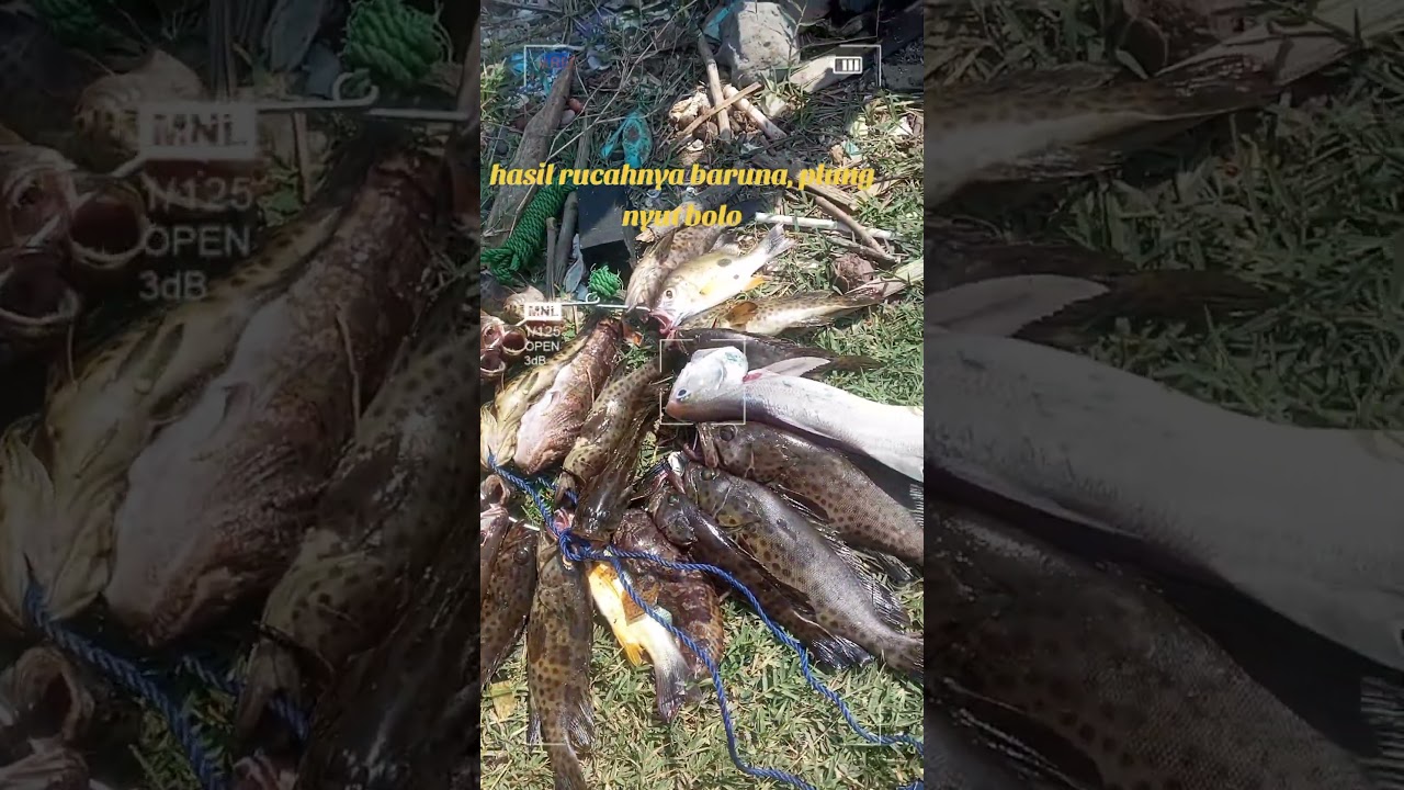 Pantai Baruna spot plung nyut 