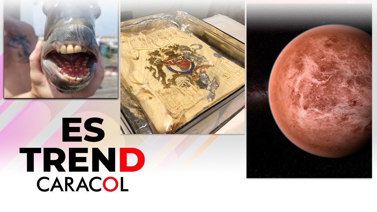 Le Réseau Webissimo 26 Extraterrestres: el proyecto que buscará civilizaciones alienígenas y su tecnología