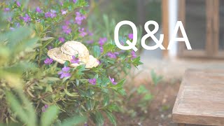 Q&A|Miniature Cooking|Mini Food