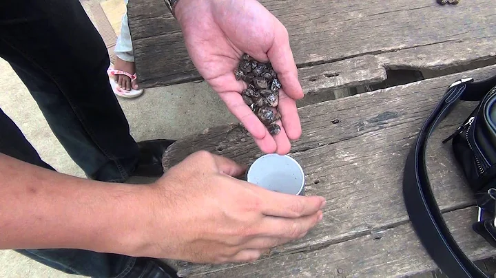 Ratanakiri 29