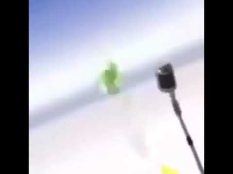 POV: You are going to die by gummy bear