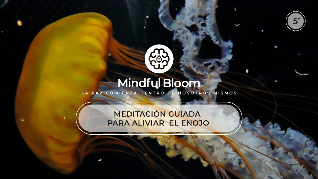Calma tu mente en 5 minutos : Meditación guiada para aliviar el enojo ...