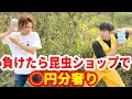 人気昆虫YouTuberと行う今年最後の昆虫採集が激闘すぎた！
