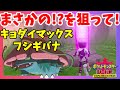 【ポケモンソードシールド】ついにきた？キョダイマックスフシギバナの巣を狙ってみた結果！鎧の孤島【エキスパンションパス第1弾】